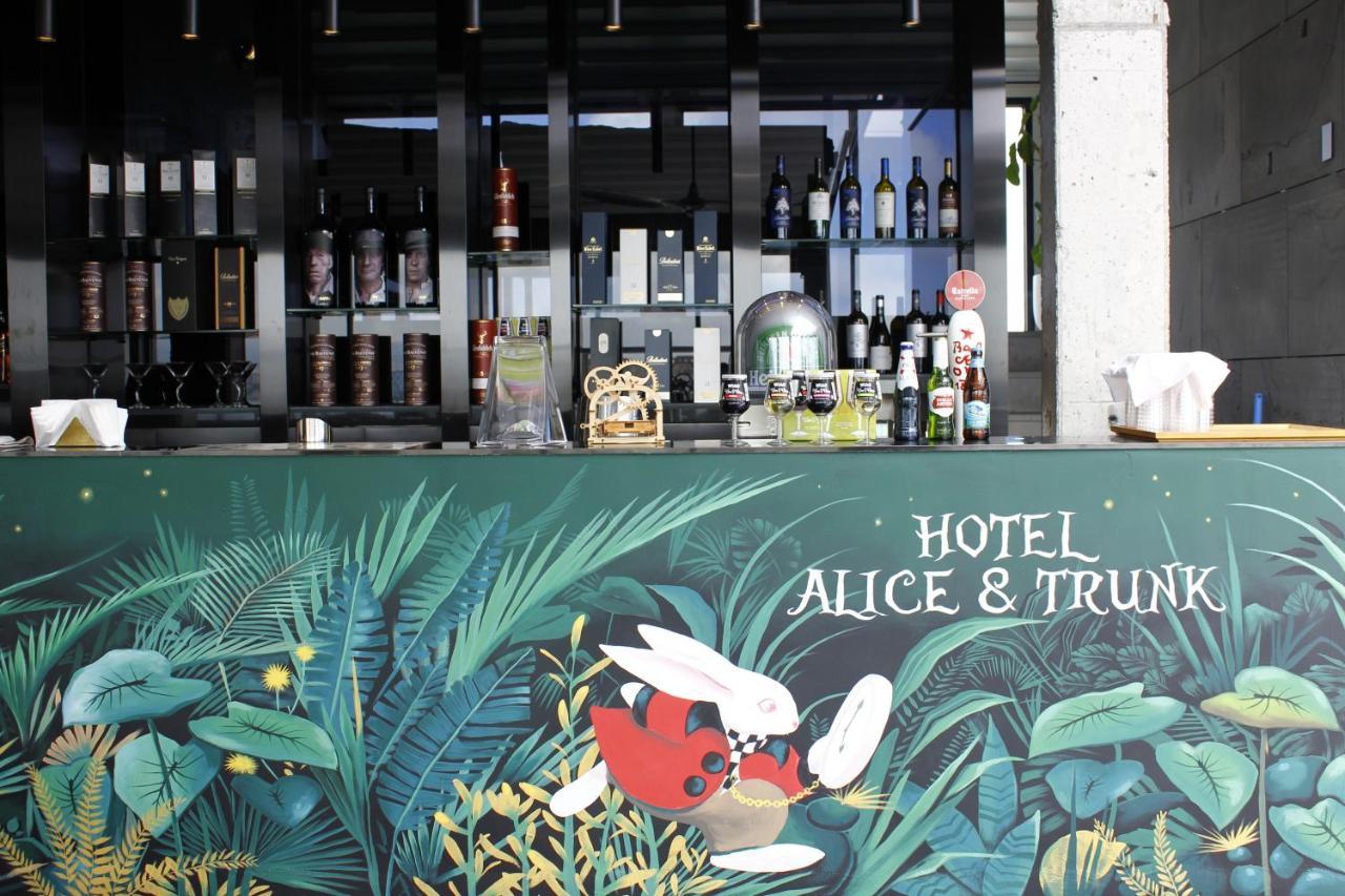 Alice And Trunk